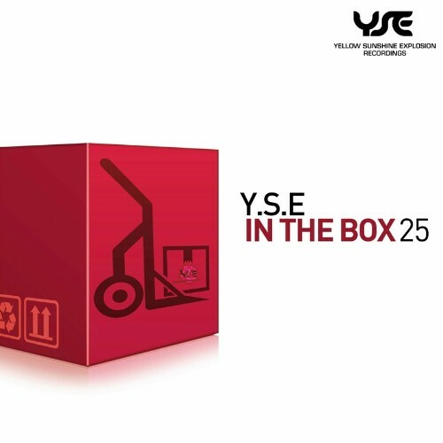 Y.S.E in the Box, Vol. 25 (2023)