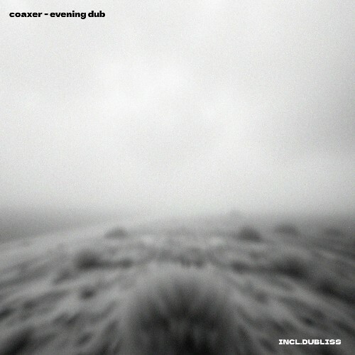 Coaxer - Evening Dub (2025) Coaxer - Evening Dub (2025)
