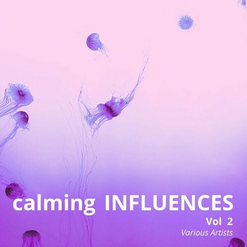  Calming Influences, Vol. 2 (2024) 