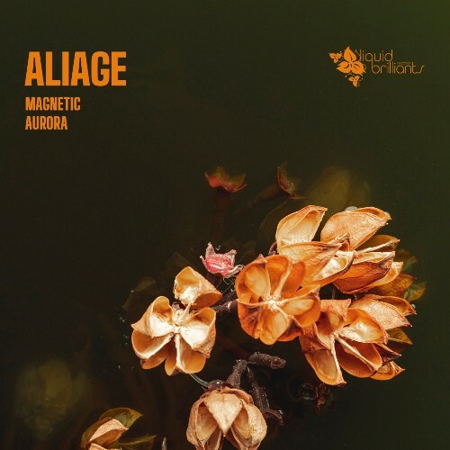  Aliage - Magnetic (2025) 