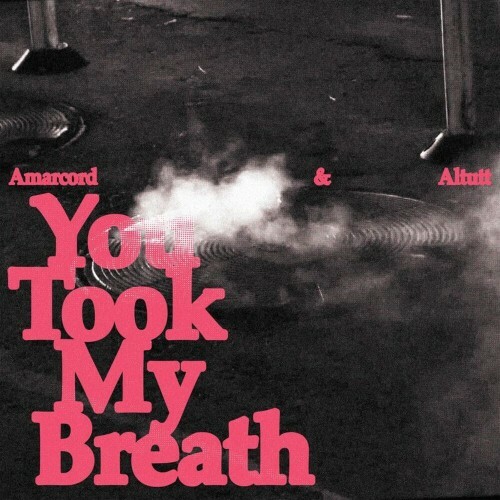  amarcord and Altutt - You Took My Breath (2025) 