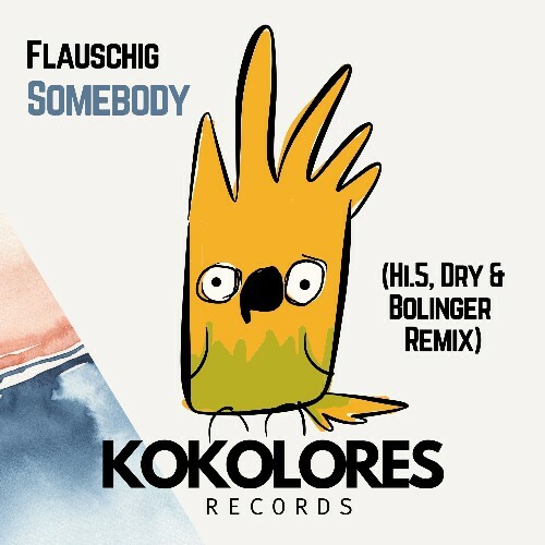  Flauschig - Somebody (Hi.5, Dry & Bolinger Remix) (2025) 