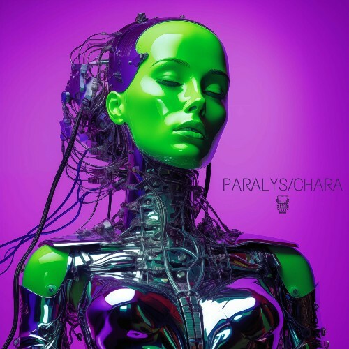  Kinky Sound, Nedisco - Paralys/Chara (2025) 