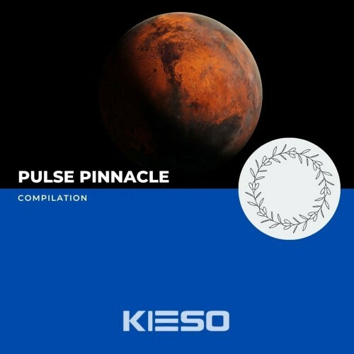  JoonBoys - Pulse Pinnacle (2024) 