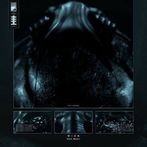  Wick - New Body (2026) 