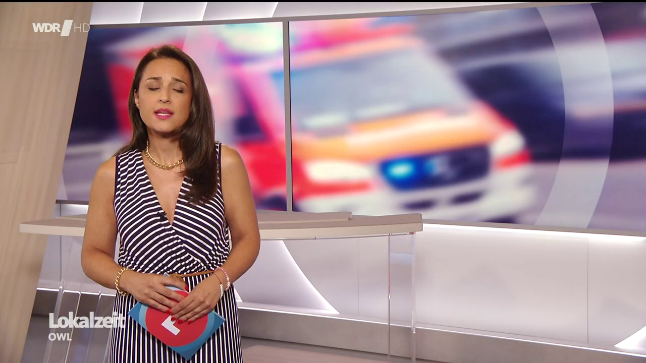 Nina Moghaddam - °WDR Lokalzeit OWL° 12.08.2024 - 135X Caps_54.png