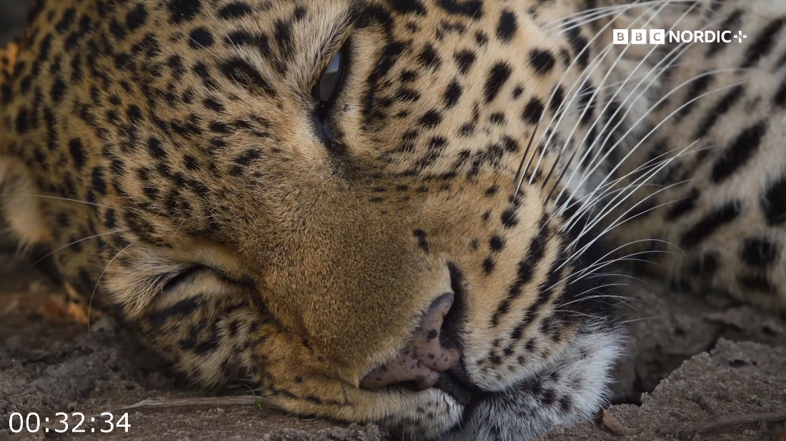 [Image: ME18D14Q_o.png]