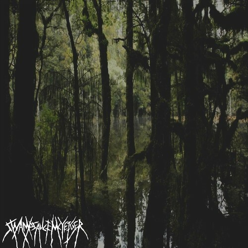  Swampsauce - 14 Years Under Mud (2024) 