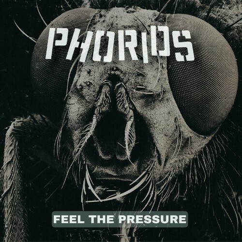 VA - Phorids - Feel The Pressure (2023) (MP3)