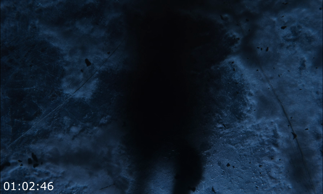 [Kép: ME19V06L_o.png]