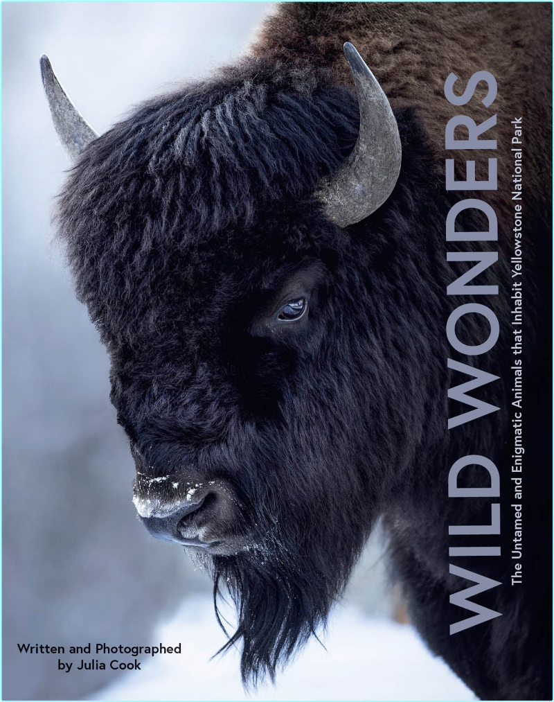 [Image: ME16ZG0N_o.png]