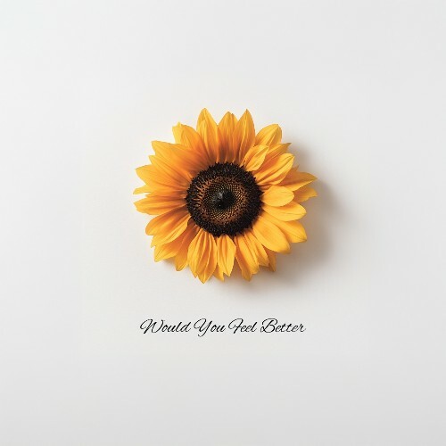  Dsd - Would You Feel Better (2025) 