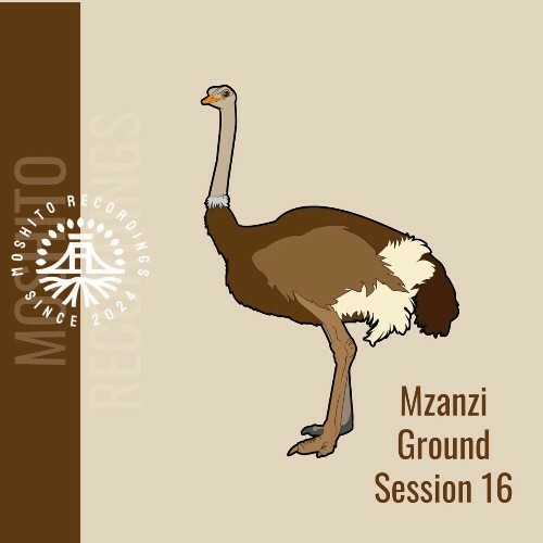  Mzanzi Ground Sessions 16 (2025) 