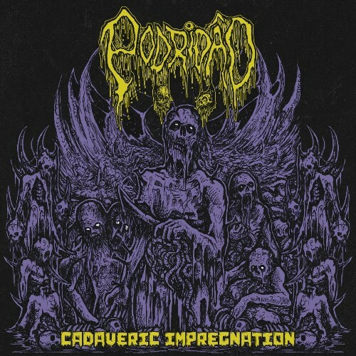  Podridão - Cadaveric Impregnation (2023) 