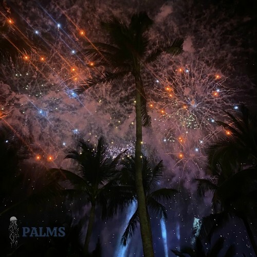  Rapossa & Shellsee - Palms (2025) 