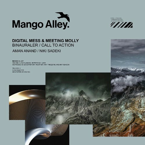  Digital Mess & Meeting Molly - Binauraler / Call to Action (2025) 