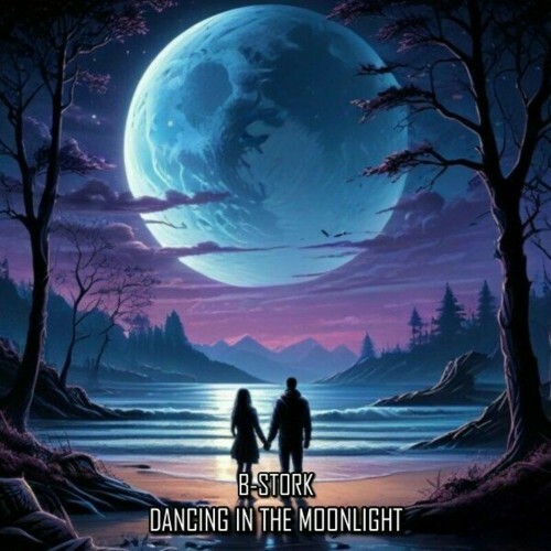 B-Stork - Dancing in the Moonlight (2024)