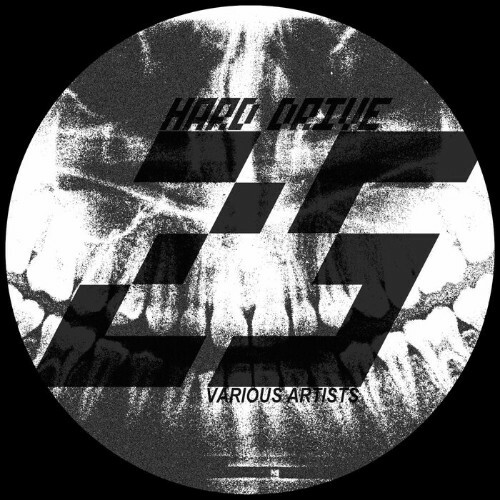 VA - Hard Drive 25 (2024) (MP3) MEU4FOK_o