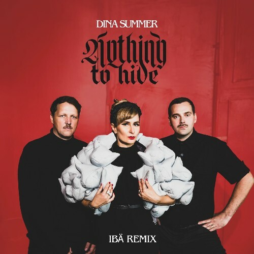  Dina Summer - Nothing To Hide (Ib&#228; Remix) (2025) 