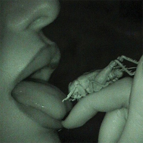  Julia Wolf - PRESSURE (2025) 