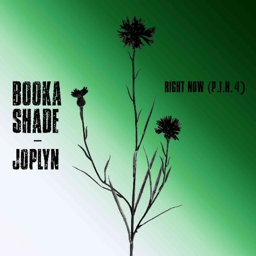  Booka Shade & Joplyn - Right Now (P.I.N. 4) (2024) 