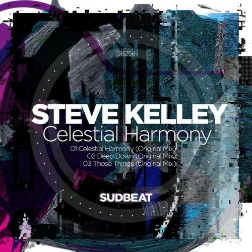 VA - Steve Kelley - Celestial Harmony (2024) (MP3)