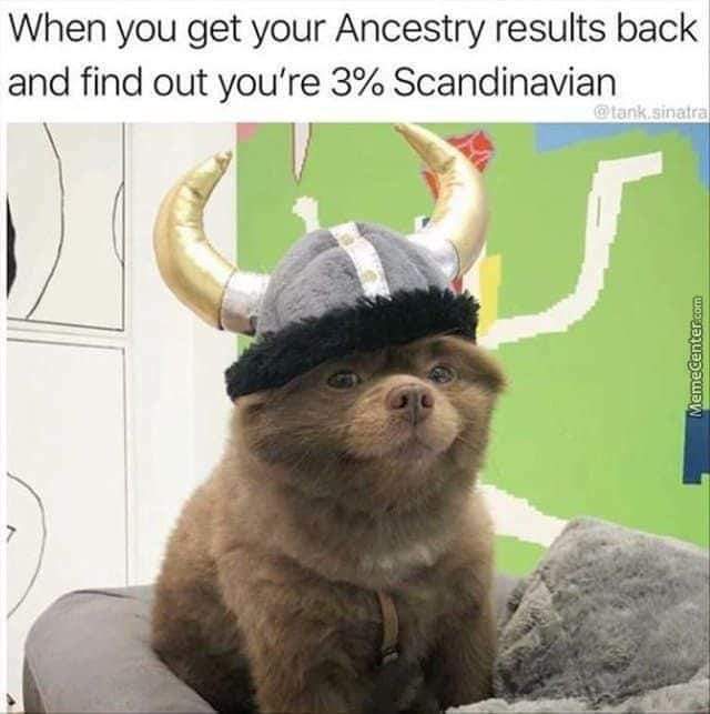 MEQSJG6_o.jpg