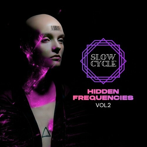  Hidden Frequencies, Vol. 2 (2024) 