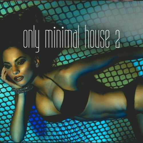 Only Minimal House, Vol. 2 (2024)