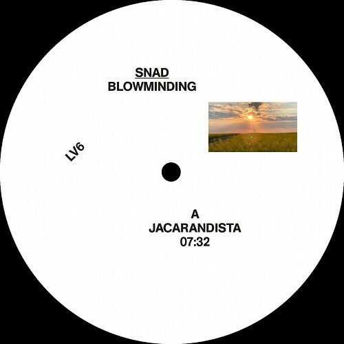 MP3:  Snad - Blowminding (2024) Онлайн