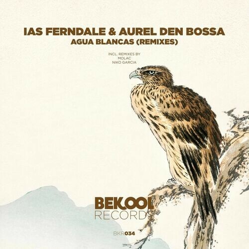 Aurel den Bossa & Ias Ferndale - Agua Blancas (Remixes) (2023) MP3
