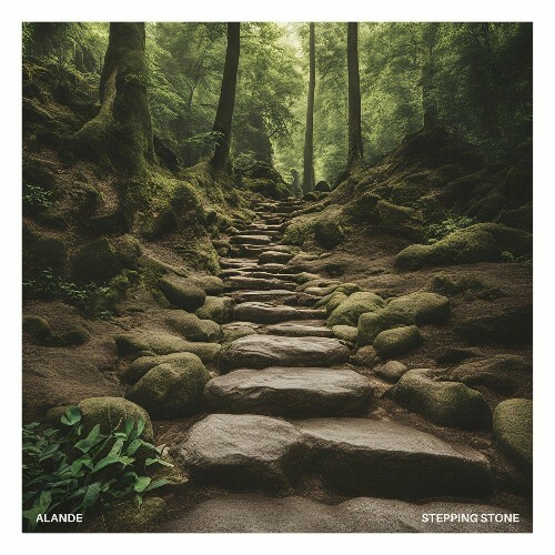  Alande - Stepping Stone (2024) 