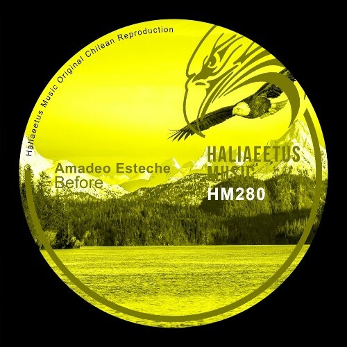 VA - Amadeo Esteche - Before (2022) (MP3)