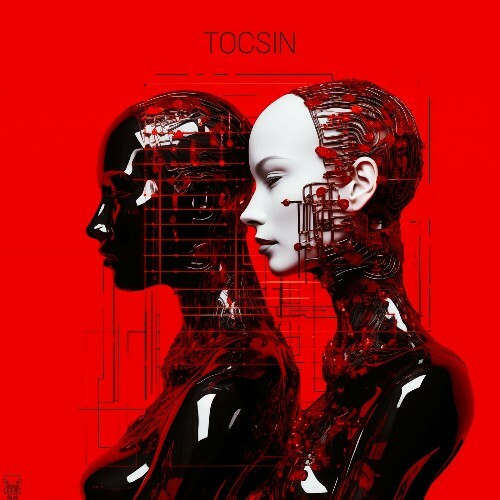 Mystics (US) - Tocsin (2025)