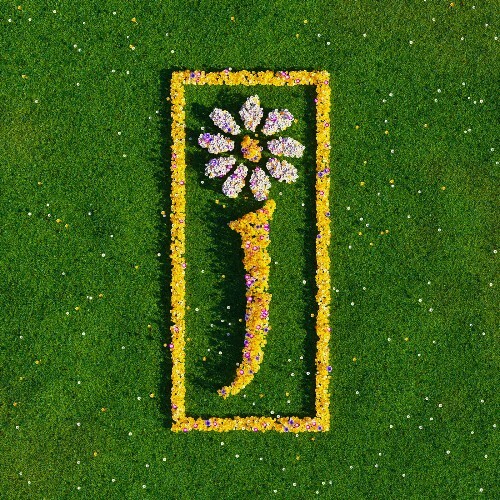  James - Nothing But Love The Definitive Best (2025) 