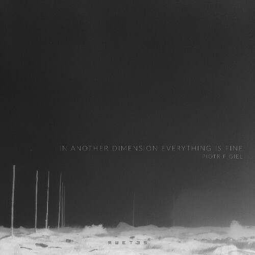  Piotr Figiel - In Another Dimension Everything Is Fine (2025) 