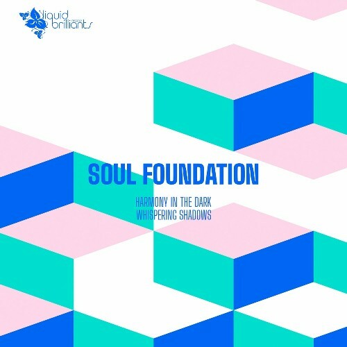 VA | Soul Foundation - Harmony in the Dark 2024 год Скачать Онлайн в Mp3 (Бесплатно)