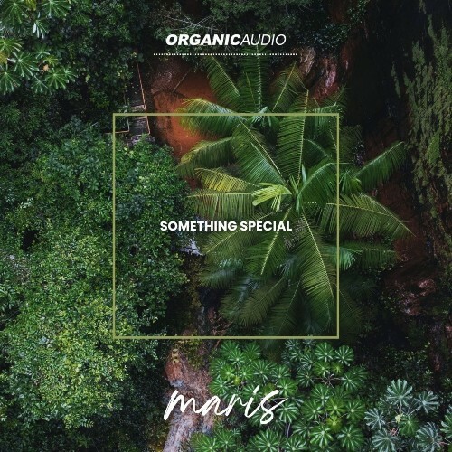  Maris - Something Special (2026) 