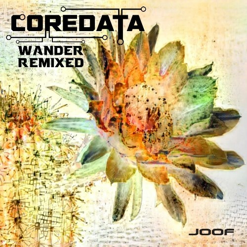  Coredata - Wander (Remixed) (2023) 