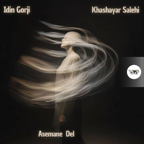  Idin Gorji & Khashayar Salehi - Asemane Del (2025) 