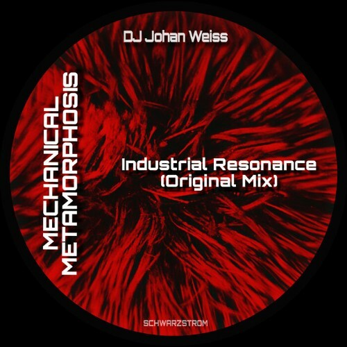  DJ Johan Weiss - Industrial Resonance (2026) 