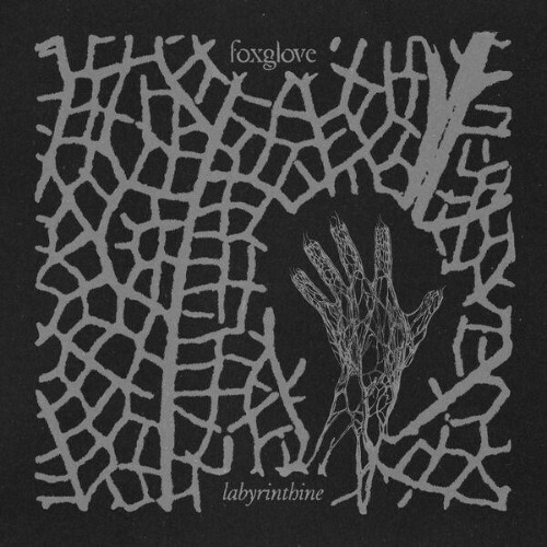  Foxglove - labrynthine (2025) 