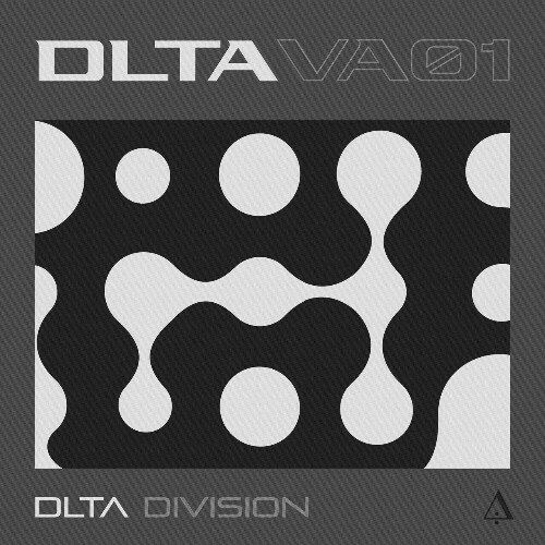  DLTA-VA 01 (2026) 