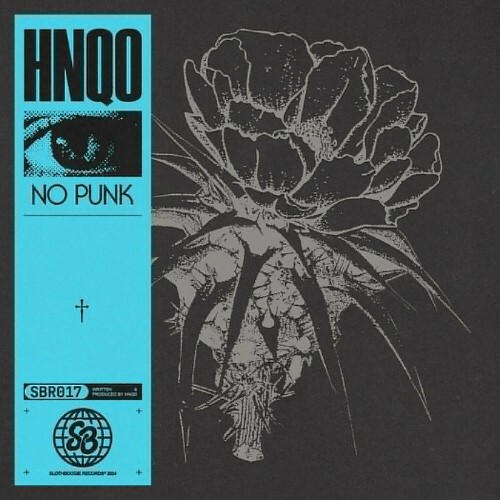 VA -  HNQO - No Punk (2024) [MP3] MEV7MA6_o