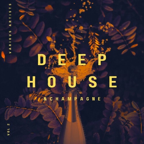  Deep-House and Champagne, Vol. 2 (2023) 