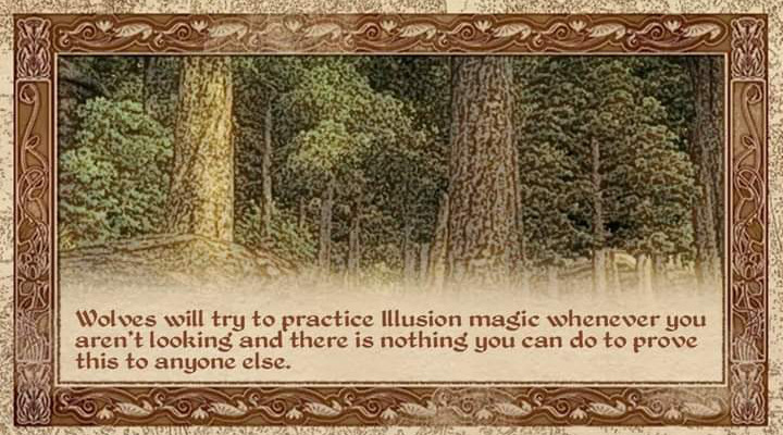 An illustration of a forest inside of a stylized maroon border. Text at the bottom reads, 'Wolves will try to practice illusion magic whenever you aren't looking and there is nothing you can do to prove this to anyone else.'