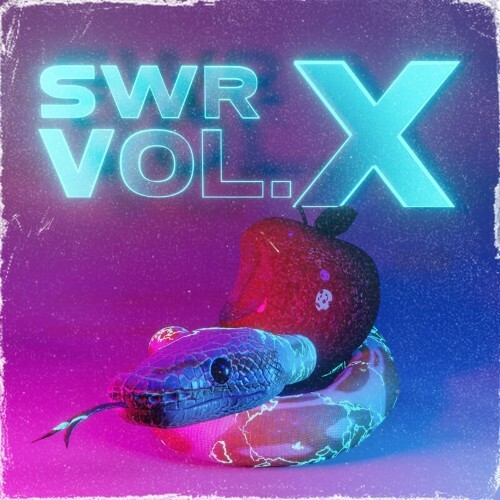 SWR Vol  X (2023) MP3