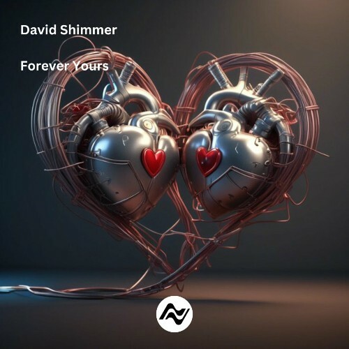  David Shimmer - Forever Yours (2025) 