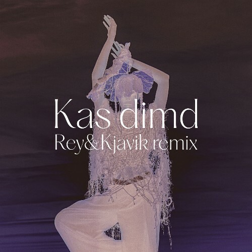 VA -  Tautumeitas - Kas dimd (Rey&Kjavik Remix) (2024) [MP3] MEWW6MA_o