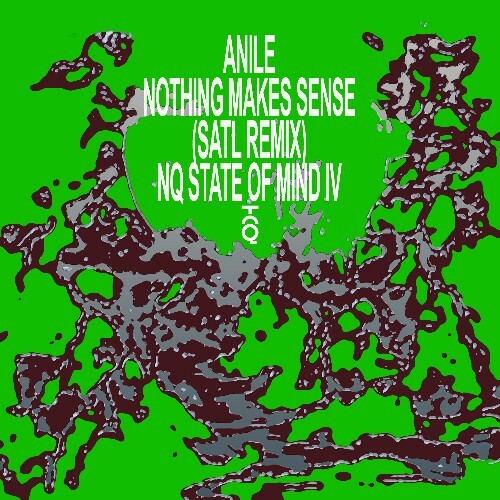 Anile - Nothing Makes Sense (Satl Remix) (2024)